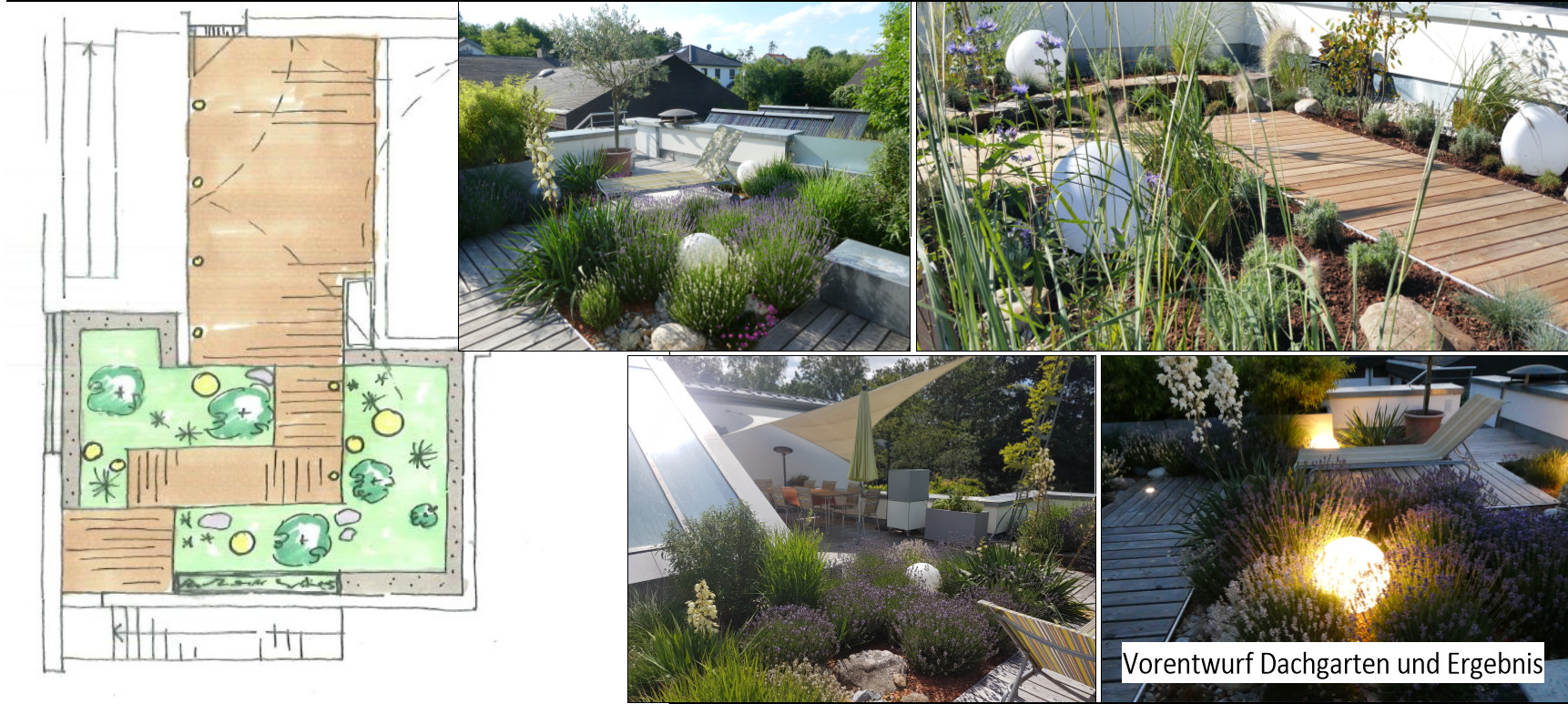 Dachgarten Planung und Umsetzung